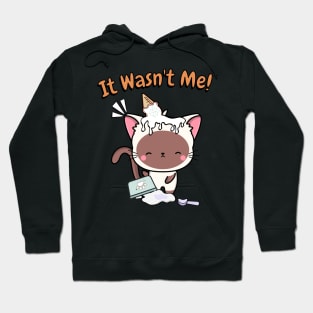 Funny white cat got caught stealing ice cream Hoodie